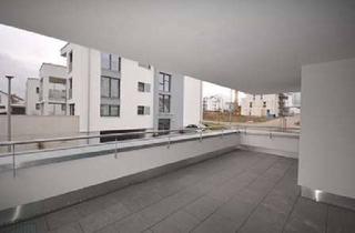 Wohnung mieten in 71139 Ehningen, Ehningen: Moderne, helle 4-Zi.-Whg. mit hochwertiger Küche und großem Süd-West Balkon