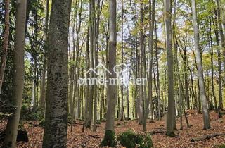 Immobilie kaufen in 91327 Gößweinstein, Wald bei Gössweinstein zu verkaufen !