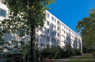 Wohnung mieten in 38440 Hohenstein, Zentral wohnen: 3 Zimmer, großzügige Küche und Loggia