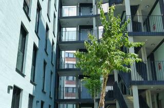 Wohnung mieten in 35390 Gießen, Moderne 3-Zimmer-Wohnung in Gießen – Neubau 2024 mit Einbauküche