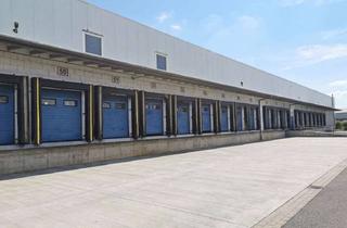 Büro zu mieten in 49324 Melle, Provisionsfrei -- Logistik-/Lagerfläche mit Büro zu vermieten